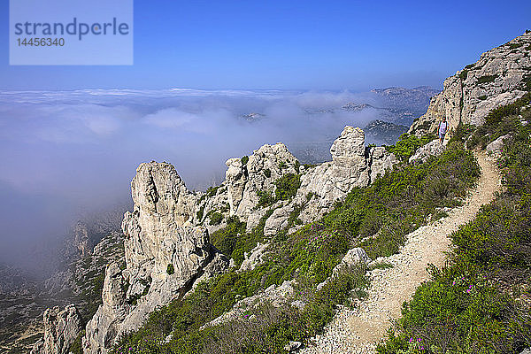 Frankreich  Bouches-du-Rhone  Marseille  Calanques-Nationalpark
