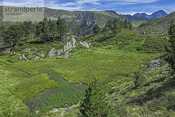 Frankreich  Ariege  Pyrenäen  Landschaft in der Nähe des Ruhle-Gipfels
