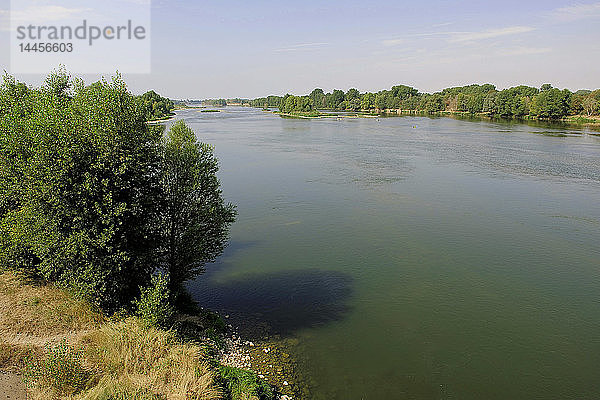 Europa  Frankreich  Centre-Val de la Loire  Loir-et-Cher ( 41 )  Loiretal  Fluss  Die Loire