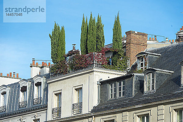 Frankreich. Paris 6. Bezirk. Terrassengarten auf Dächern  Straße von Tournon