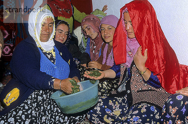 Türkei  Zentralanatolien  Kappadokien  Provinz Aksaray  Ihlara-Tal  eine Hochzeit mit Ihlara
