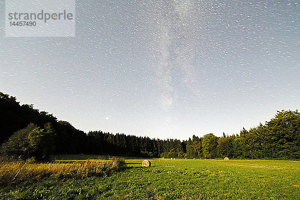 Bourgogne-Franche-Comte. Regionaler Naturpark des Morvan. Der Himmel im Morvan ist sehr gut vor Lichtverschmutzung geschützt. Er ist einer der besten Himmel Frankreichs. Die Sternbilder leuchten über den Tannenbäumen.