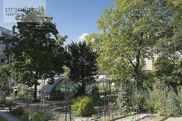 Frankreich. Paris 6. Bezirk. Avenue de l'Observatoire. Fakultät für Pharmazie. Der botanische Garten der Fakultät