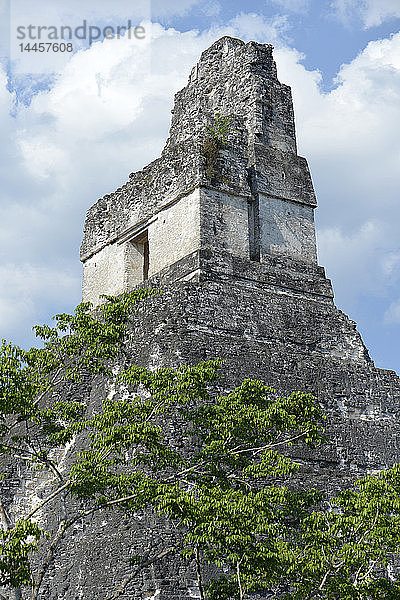 Ruinen von Tikal  El Peten  Guatemala  Mittelamerika.