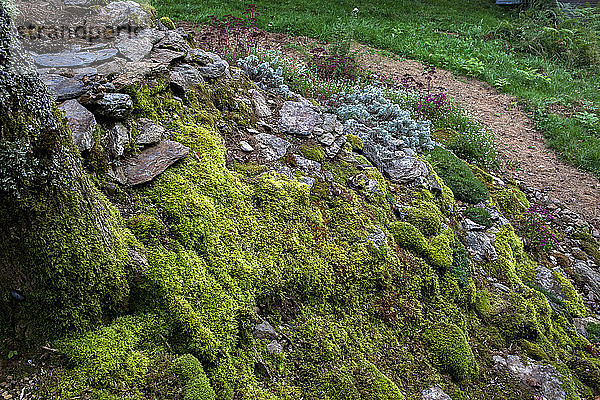 Steingarten aus moosbewachsenen Steinen