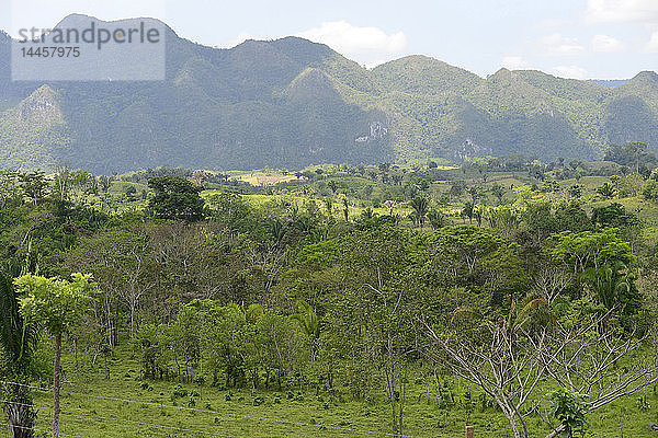 eine Landschaft in der Nähe von Coban  Guatemala  Mittelamerika.