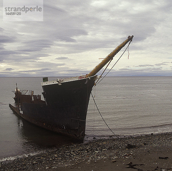Schiffswrack in Patagonien