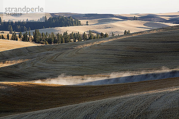 Hügelige ländliche Landschaft  Palouse  Washington  Vereinigte Staaten