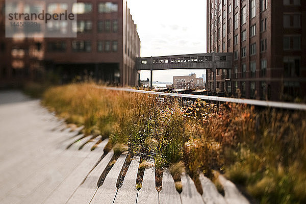 Der High Line Park