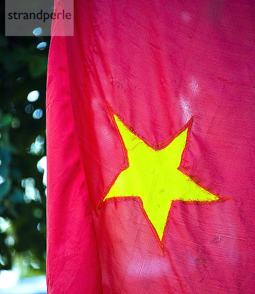 Vietnamesische Flagge