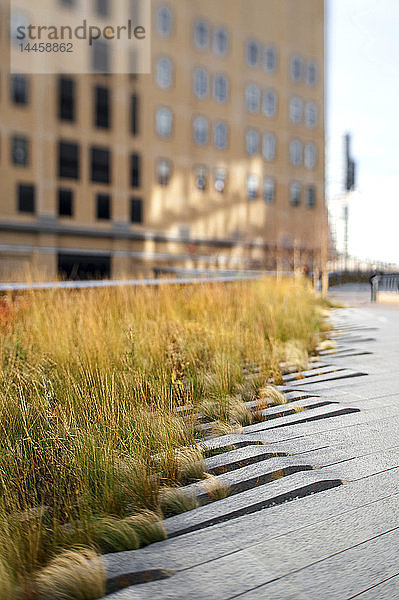 Der High Line Park