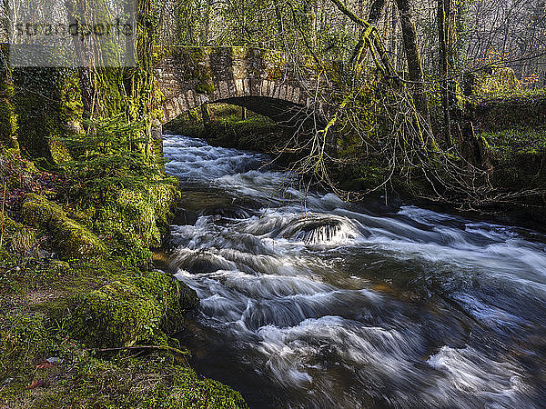 Wasser fließt unter der Buckland-Brücke  die in den Fluss Dart mündet  in der Nähe von Newbridge  Dartmoor National Park  Ashburton  Devon  England  Vereinigtes Königreich