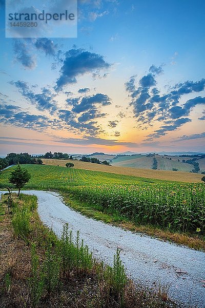 Via Ripabianca und Umgebung  Jesi  Marken  Italien