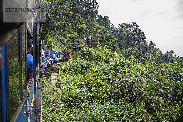 Nilgiri Mountain Railway  zwischen Ooty und Mettupalayam  Tamil Nadu  Indien  Südasien