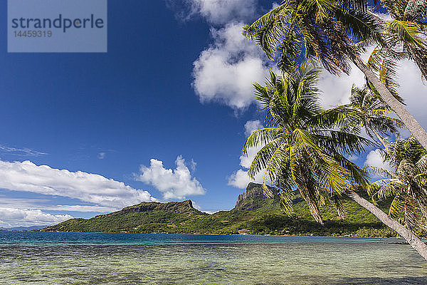 Palmengesäumte innere Lagune von Bora Bora  Gesellschaftsinseln  Französisch-Polynesien  Südpazifik