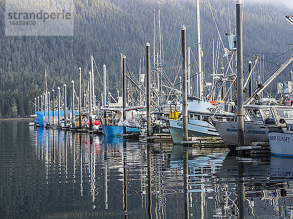 Blick auf die kommerzielle Fischereiflotte  die im Hafen von Petersburg  Südost-Alaska  USA  vor Anker liegt