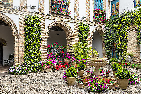 Innenhof des Viana-Palastes  Cordoba  Andalusien  Spanien