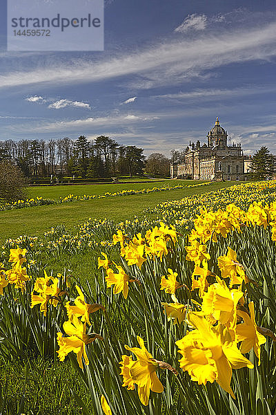 Frühling in Castle Howard  North Yorkshire  England