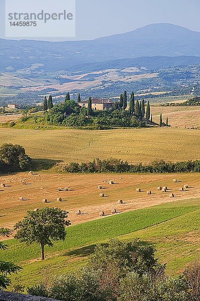 Montalcino  Val d'Orcia  UNESCO-Weltkulturerbe  Toskana  Italien