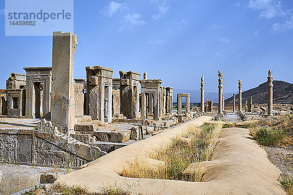 Säulen des Apadana-Palastes  Persepolis  UNESCO-Weltkulturerbe  Provinz Fars  Iran  Naher Osten