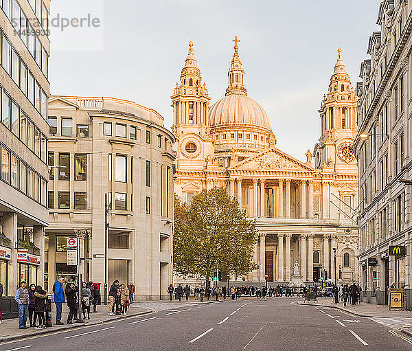 St. Paul's Cathedral im Nachmittagssonnenlicht  in der City of London  London  England  Vereinigtes Königreich