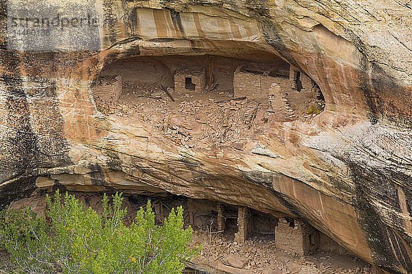 Over Under Anasazi Ruins  Ancestral Pueblo  Bear's Ears National Monument  Utah  Vereinigte Staaten von Amerika  Nordamerika