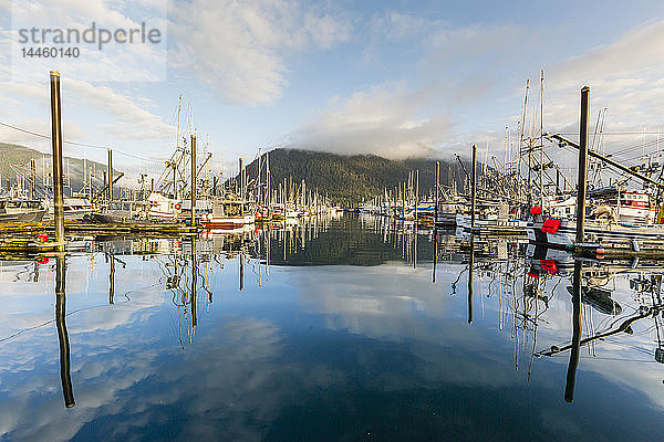 Blick auf die kommerzielle Fischereiflotte  die im Hafen von Petersburg  Südost-Alaska  USA  vor Anker liegt