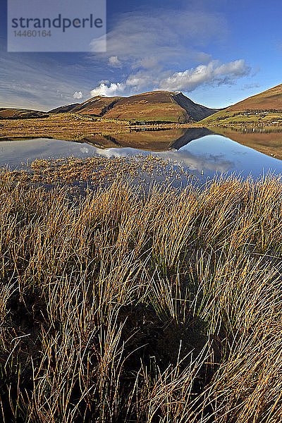 Lonscale Fell und Skiddaw spiegeln sich im stillen Wasser des Tewet Tarn im Lake District National Park  UNESCO-Welterbe  Cumbria  England