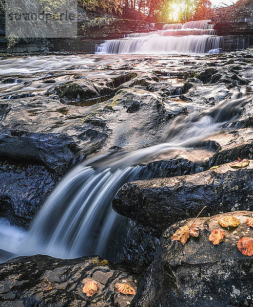 Lower Aysgarth Falls on the River Ure  Herbst  Wensleydale  Yorkshire Dales National Park  North Yorkshire  England  Vereinigtes Königreich
