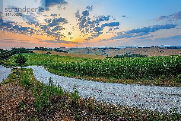 Via Ripabianca und Umgebung  Jesi  Marken  Italien