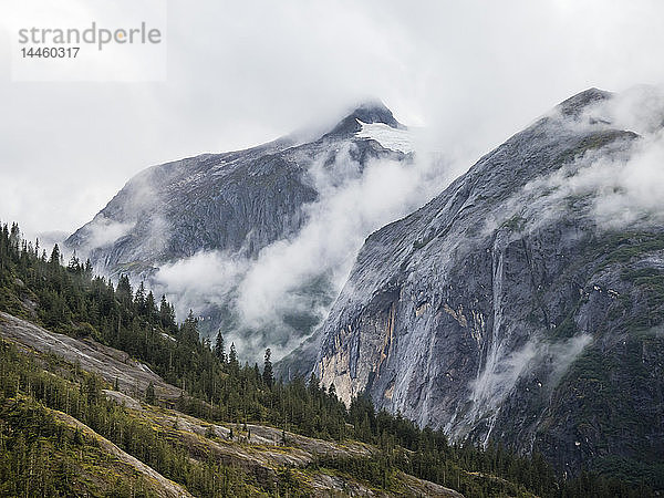 Klassischer  von Gletschern ausgehöhlter Fjord in der Tracy Arm-Fords Terror Wilderness Area  Südost-Alaska  USA