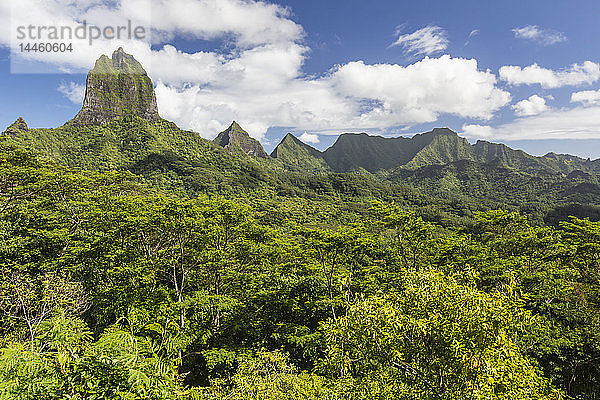 Blick auf die zerklüfteten Berge rund um das Opunohu-Tal vom Belvedere Overlook  Moorea  Französisch-Polynesien  Südpazifik