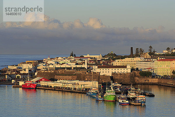 Fischerboote  Ponta Delgada Stadt  Insel Sao Miguel  Azoren  Portugal  Atlantik