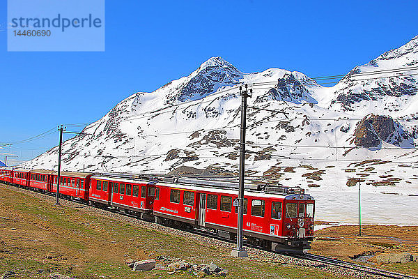Der Bernina-Express in der Nähe des Schwarzen Sees  Kanton Graubünden (Grigioni)  Schweiz