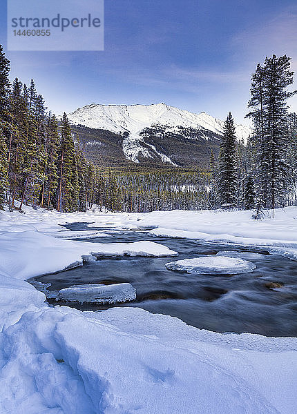 Der Sunwapta River  ein Nebenfluss des Athabasca River im Jasper National Park  Alberta  Kanada  Nordamerika