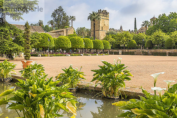 Garten des Alcazar de los Reyes Cristianos  UNESCO-Weltkulturerbe  Cordoba  Andalusien  Spanien