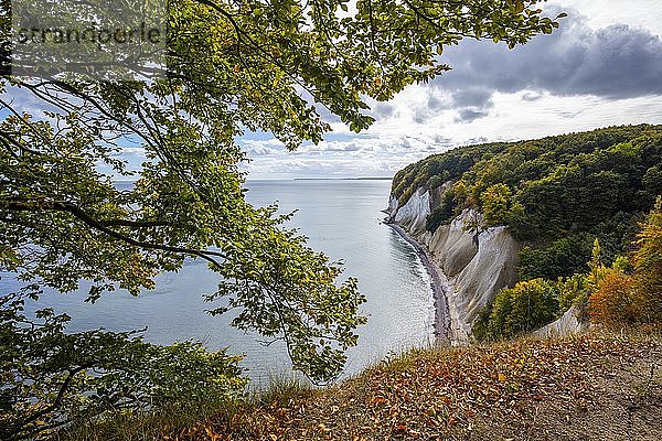 Nationalpark Jasmund  Insel Rügen  Mecklenburg-Vorpommern  Deutschland