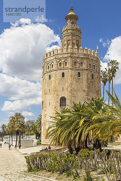 Goldener Turm (Torre del Oro)  Sevilla  Andalusien  Spanien