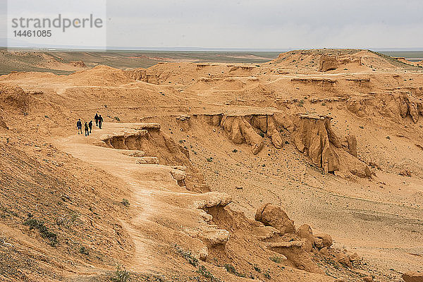 Bayanzag Cliffs  Fundort von Dinosaurierfossilien  Dalanzadgad  Wüste Gobi  südliche Mongolei