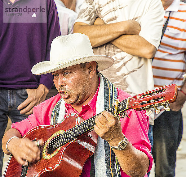 Ein lokaler Musiker in Medellin  Kolumbien  Südamerika