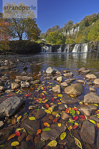 Herbst bei den Wainwath Falls mit Cotterby Scar in der Ferne  in der Nähe von Keld  Swaledale  Yorkshire Dales  North Yorkshire  England