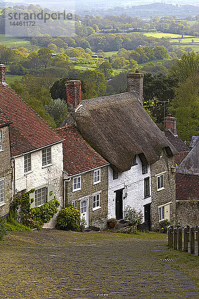 Klassische englische Cottages neben der gepflasterten Straße von Gold Hill  Shaftesbury  Dorset  England