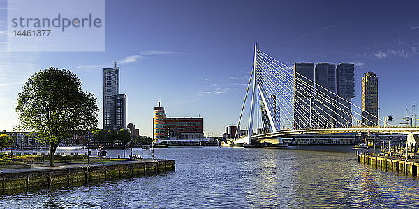 Erasmusbrücke (Erasmusbrug) und Skyline  Rotterdam  Zuid Holland  Niederlande