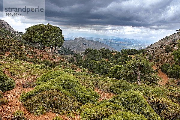 Lassithi-Hochebene  Insel Kreta  Griechische Inseln  Griechenland