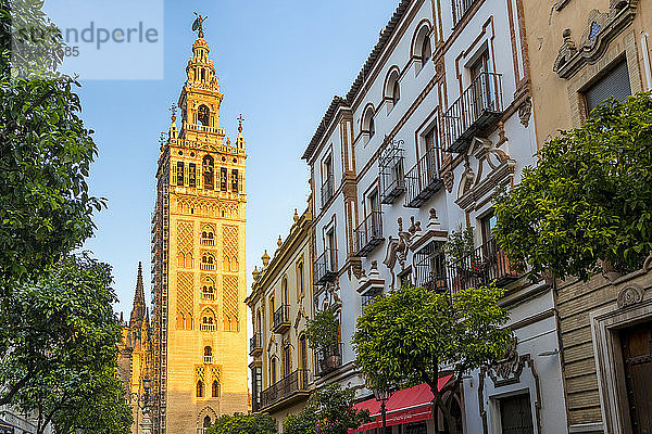 Der Glockenturm Giralda im ersten Sonnenlicht  UNESCO-Weltkulturerbe  Sevilla  Andalusien  Spanien