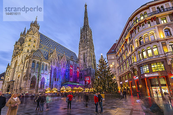Blick auf den Stephansdom  die Geschäfte und den Weihnachtsbaum am Stephanplatz in der Abenddämmerung  Wien  Österreich