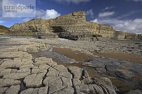 Die freiliegenden erodierten Klippen und die vielfältige Geologie der Glamorgan Heritage Coast  Monknash  Südwales