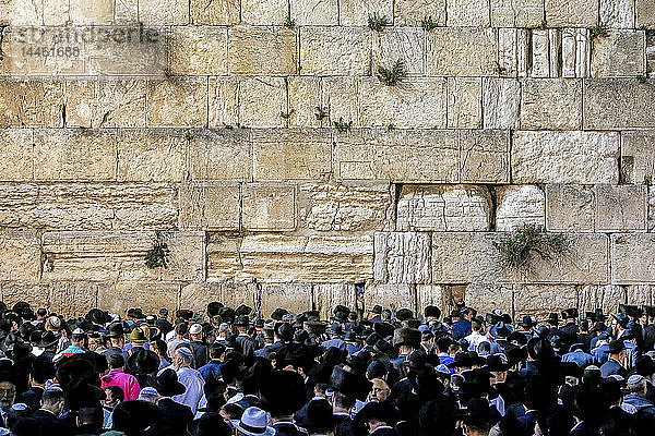 Gebete an der Westmauer während des Pessah-Festes  Jerusalem  Israel  Naher Osten