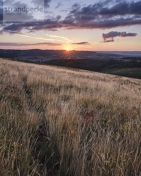 Sonnenaufgang von den grasbewachsenen Hängen von Trendlebere Down  Bovey Tracey  Devon  England  Vereinigtes Königreich