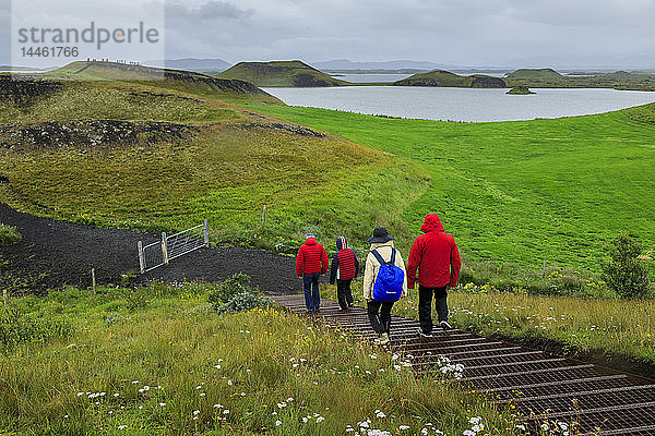 Touristen wandern im Regen zu den Skutustadagigar-Pseudokratern  Wildblumen  Myvatn-See  Akureyri  Island